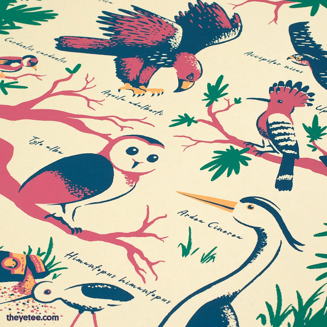 New 🤩 Ustwo Games Alba Avian Print ✔️ 4 Ustwo Games Alba Avian Print