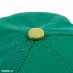 Here Comes Niko Hats Niko Frog Hat